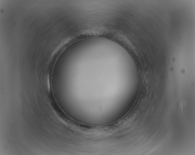 X0000073760020200608171408