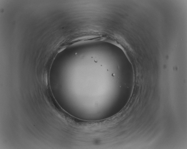 X0000073760021200608171408