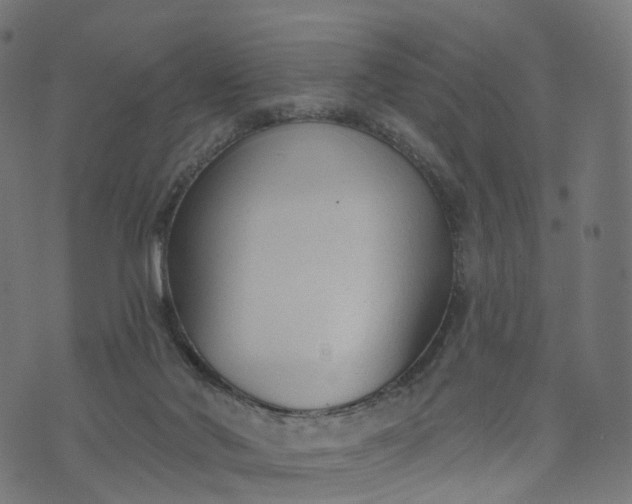 X0000073760022200608171408