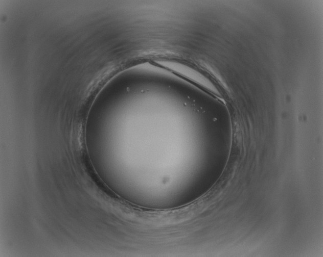 X0000073760023200608171408