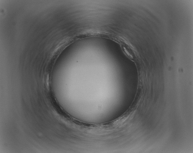 X0000073760024200608171408