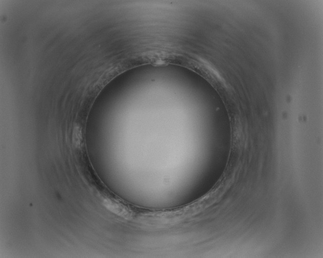 X0000073760025200608171408