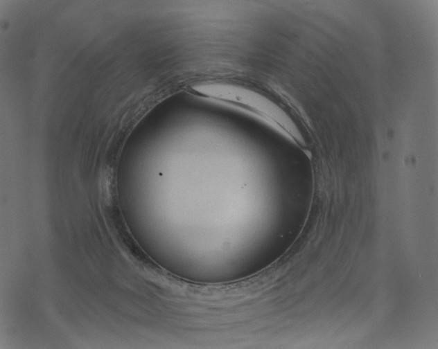 X0000073760026200608171408