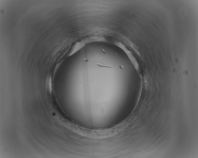 X0000073760027200608171408