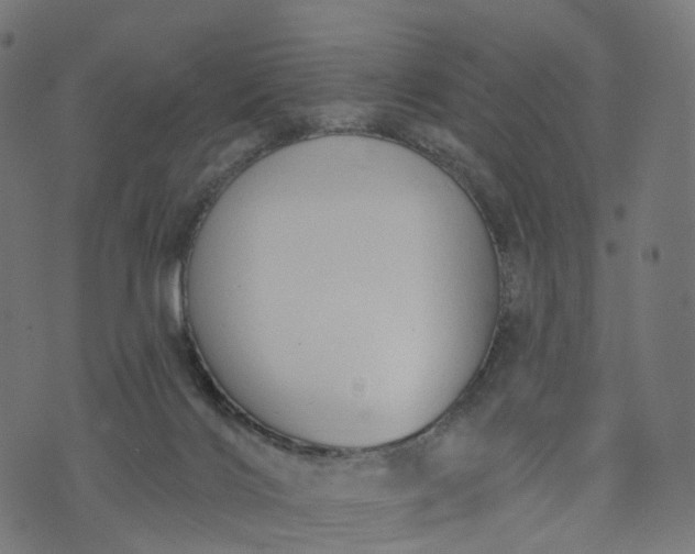 X0000073760028200608171408