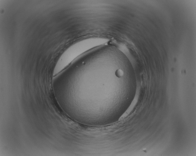 X0000073760029200608171408