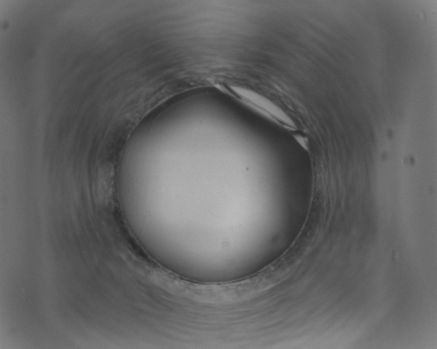 X0000073760030200608171408