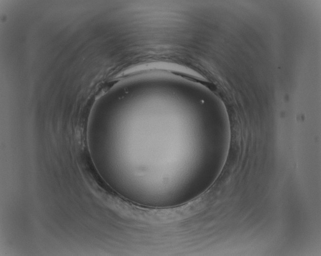 X0000073760031200608171407