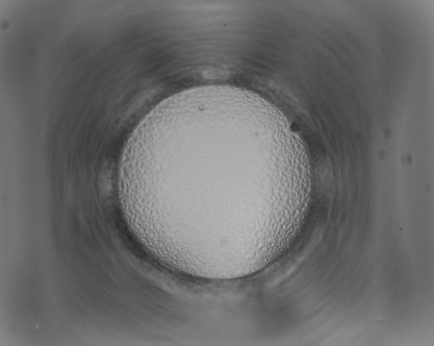 X0000073760032200608171407