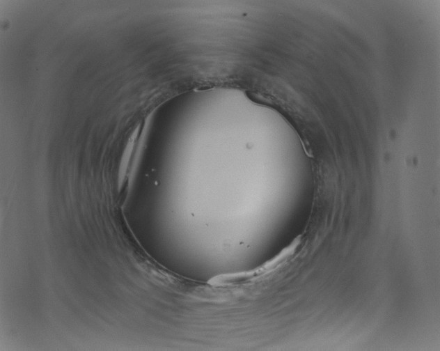 X0000073760033200608171407