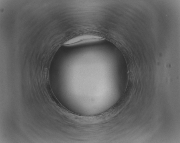 X0000073760034200608171407