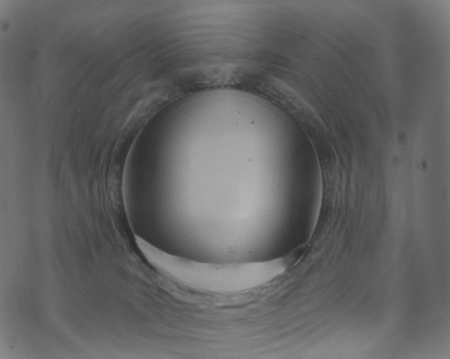 X0000073760035200608171407