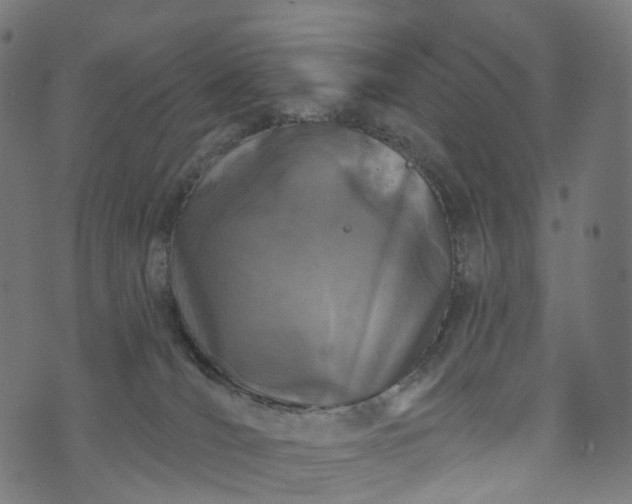 X0000073760036200608171407