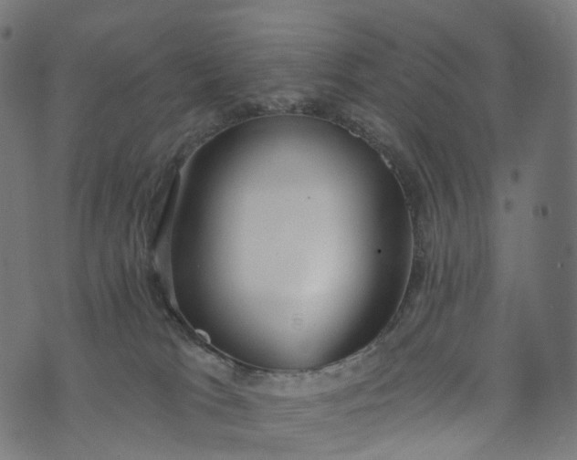 X0000073760037200608171407