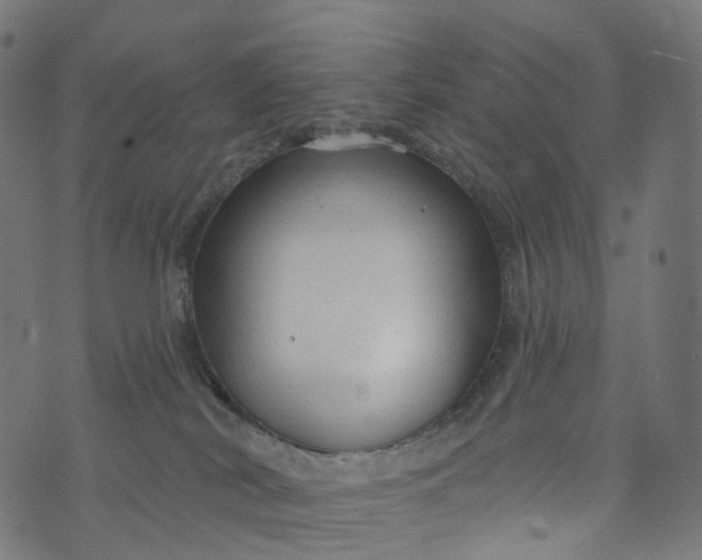 X0000073760038200608171407