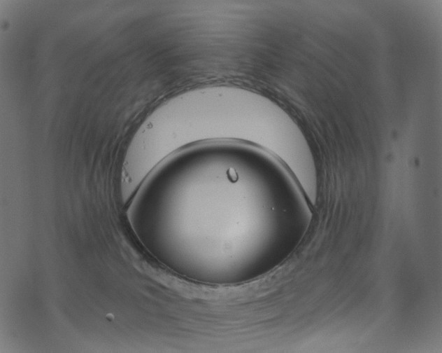 X0000073760039200608171407