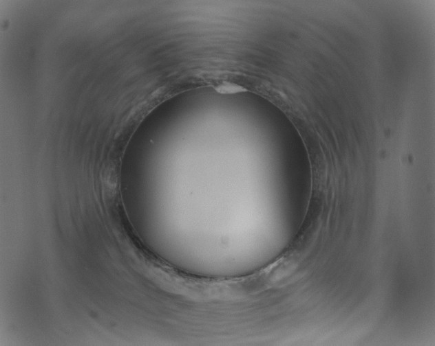 X0000073760040200608171407