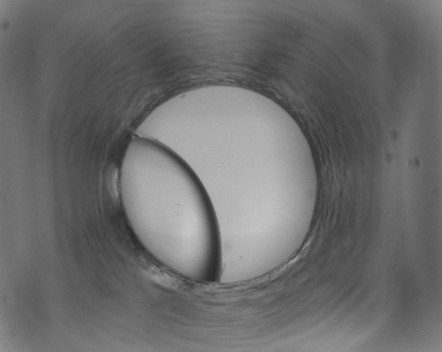 X0000073760041200608171407