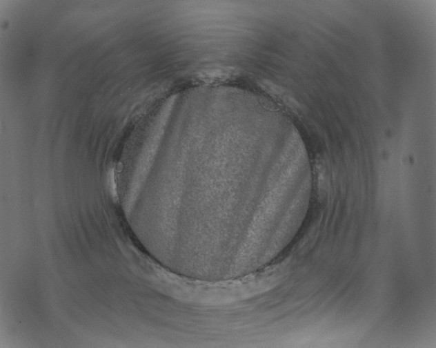 X0000073760042200608171407