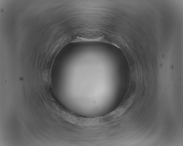 X0000073760044200608171407