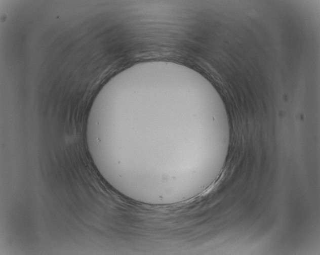 X0000073760045200608171407