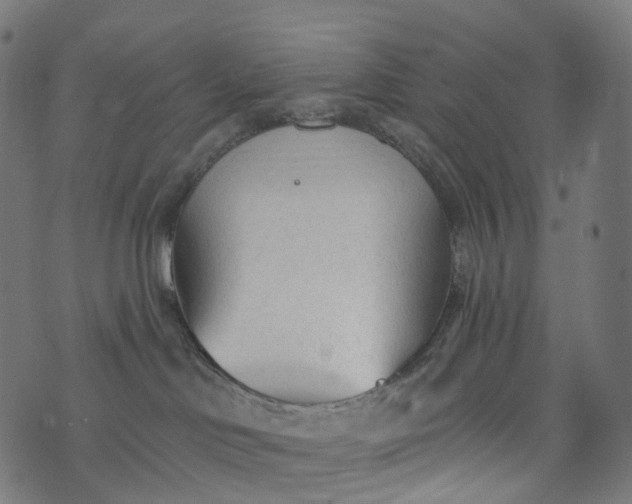 X0000073760046200608171407