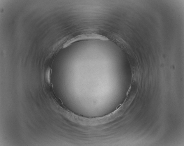 X0000073760047200608171407