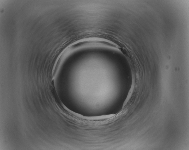 X0000073760048200608171407