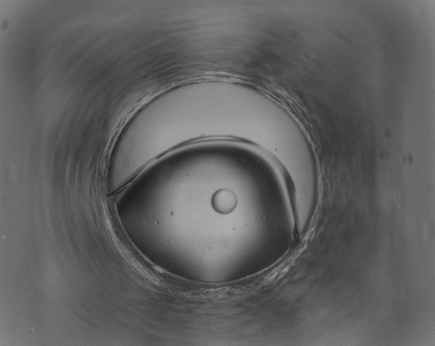 X0000073760049200608171406