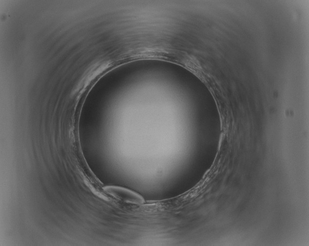 X0000073760050200608171406