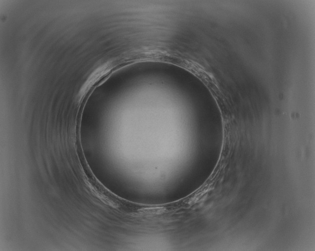 X0000073760051200608171406