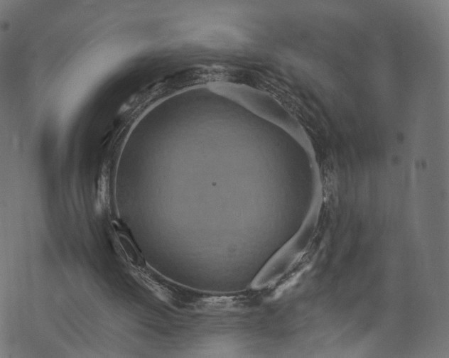 X0000073760052200608171406