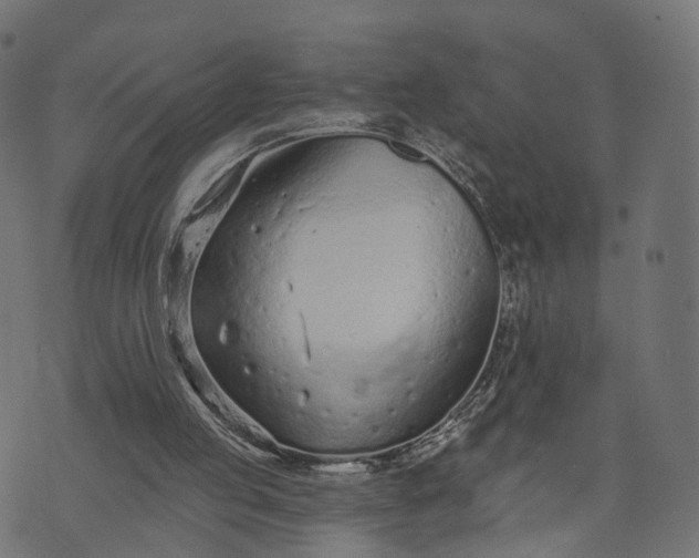 X0000073760053200608171406