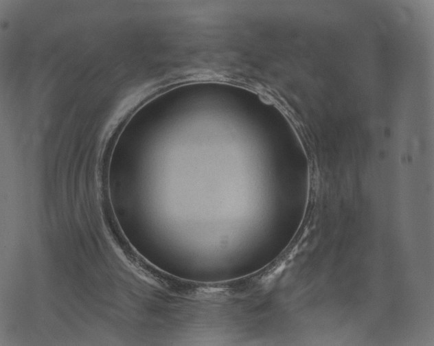 X0000073760055200608171407