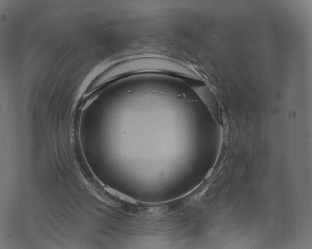 X0000073760056200608171407