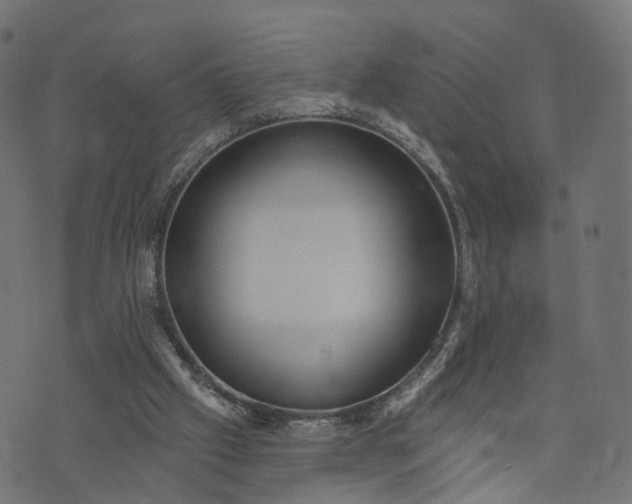 X0000073760057200608171407