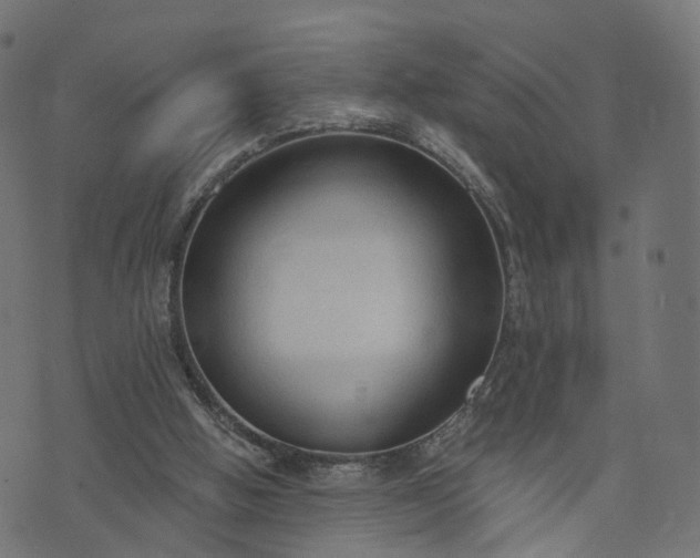 X0000073760058200608171407