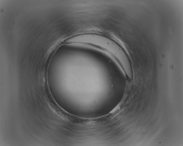 X0000073760059200608171407