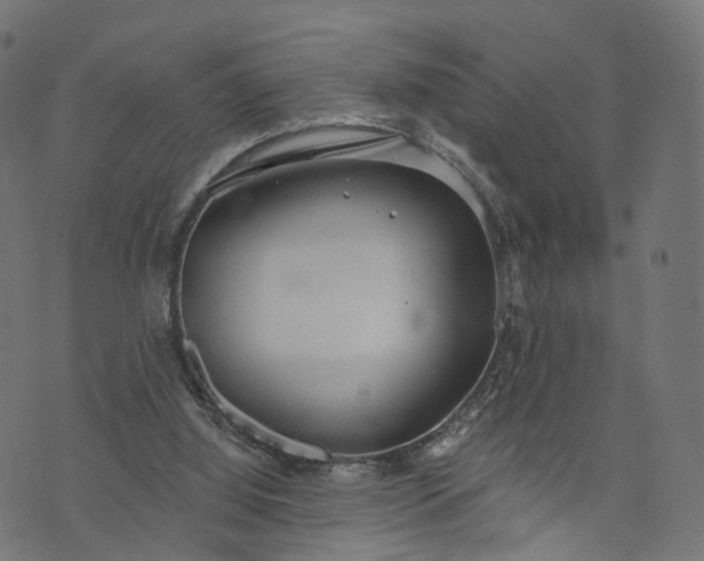 X0000073760060200608171407