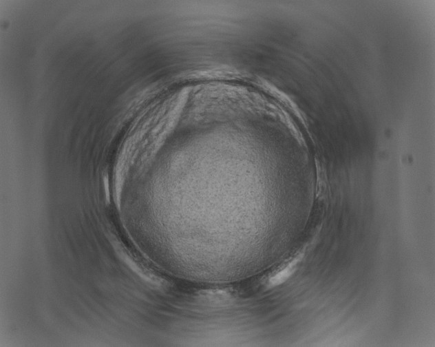 X0000073760061200608171407