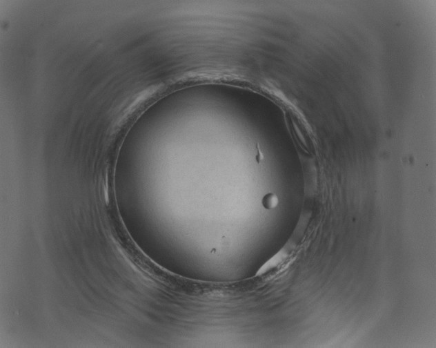 X0000073760062200608171407