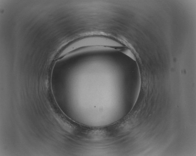 X0000073760063200608171407