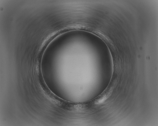 X0000073760064200608171407