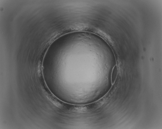 X0000073760065200608171407