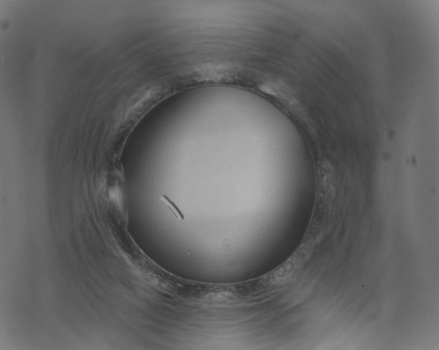 X0000073760066200608171407