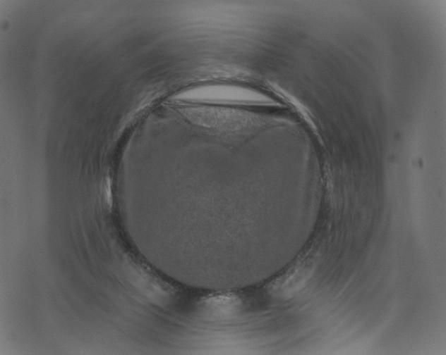 X0000073760067200608171407