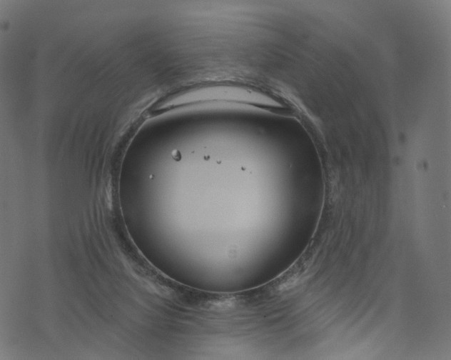 X0000073760068200608171407