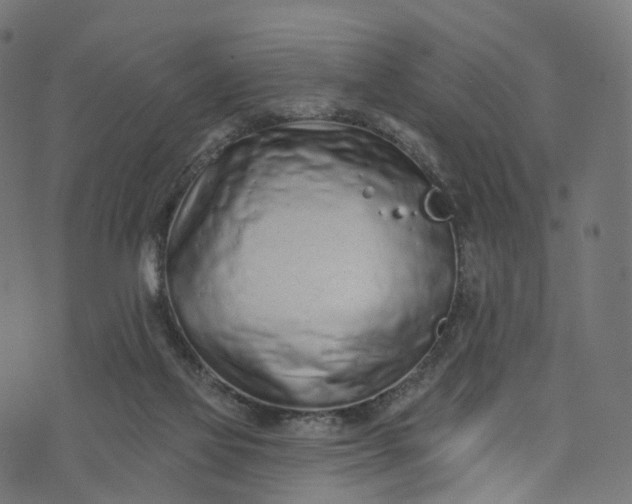 X0000073760069200608171407