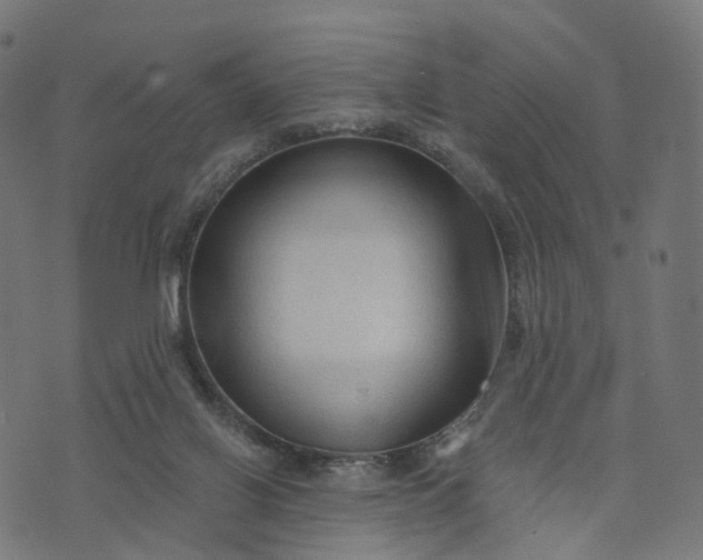 X0000073760070200608171407