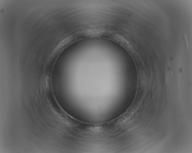 X0000073760071200608171407